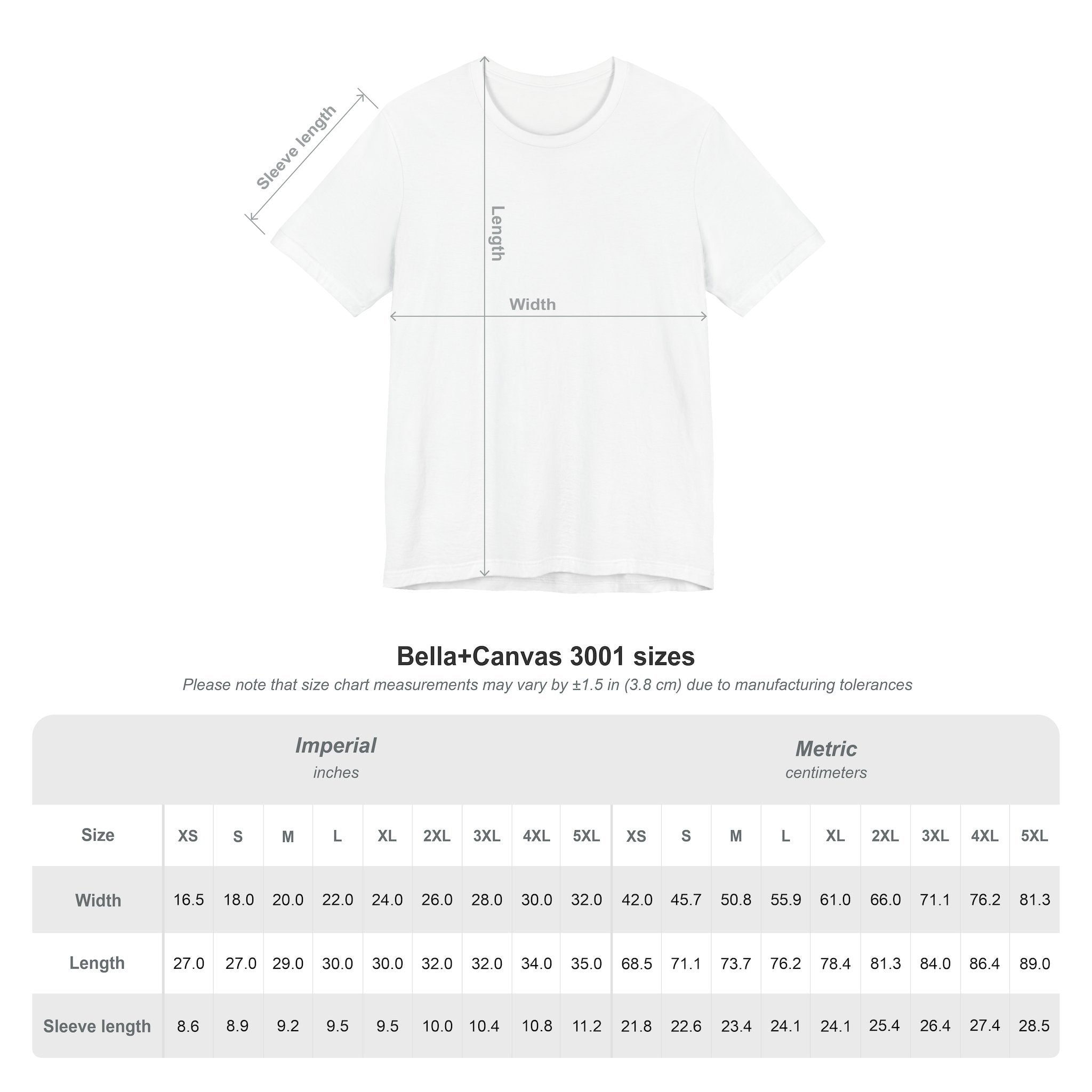 T-Shirt B12082